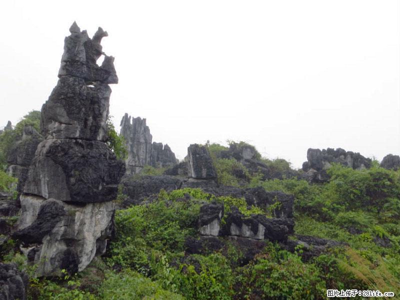 桂林旅游名城景点:灌阳文市石林 - 游山玩水 - 惠州生活社区 - 惠州28生活网 huizhou.28life.com