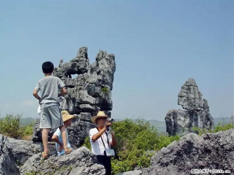 桂林旅游名城景点:灌阳文市石林 - 游山玩水 - 惠州生活社区 - 惠州28生活网 huizhou.28life.com