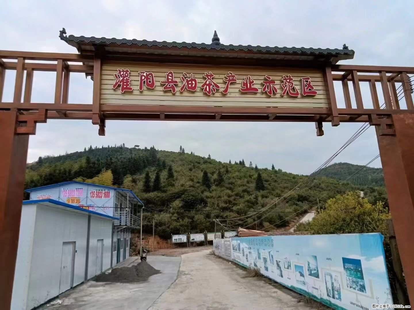 【灌阳县油茶产业示范区】一个有着充实的精神生活的人,对待身外之物自会有一种淡泊的态度 - 美食天地 - 惠州生活社区 - 惠州28生活网 huizhou.28life.com