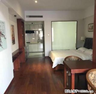 酒店精装修公寓 专业管理 楼下美食街 - 惠州28生活网 huizhou.28life.com