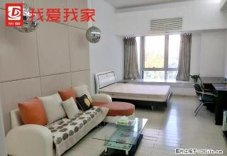 江北精致1房公寓,家私电器齐全,可拎包入住 - 惠州28生活网 huizhou.28life.com