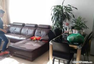 陈江白云路金茂市场 复试三房首租 精装家电齐拎包入住温馨舒适 - 惠州28生活网 huizhou.28life.com