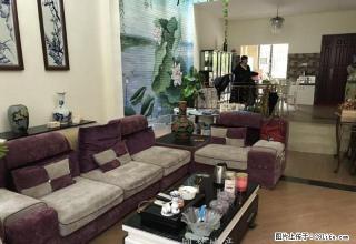 仲恺荷兰小城唯一别墅出租 - 惠州28生活网 huizhou.28life.com