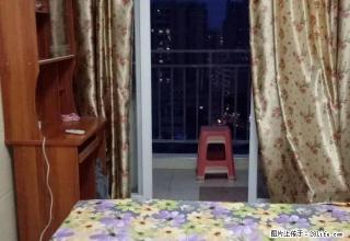河南岸标准一房一厅,图片真实,钥匙在手,随时可看房! - 惠州28生活网 huizhou.28life.com