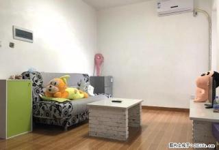 市政广场（都市广场）朝南精品一房一厅，繁华地段 - 惠州28生活网 huizhou.28life.com