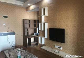 精装公寓,直接拎包入住,手快有手快无哟 - 惠州28生活网 huizhou.28life.com