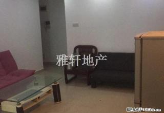 周末红包 先到先得 星湖园两房一厅出租 - 惠州28生活网 huizhou.28life.com