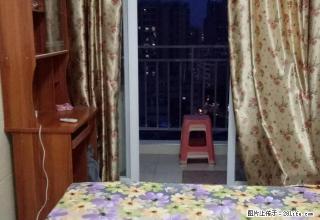 河南岸人人乐后面茉莉花开标准一房一厅出租,带家私电,随时看房 - 惠州28生活网 huizhou.28life.com