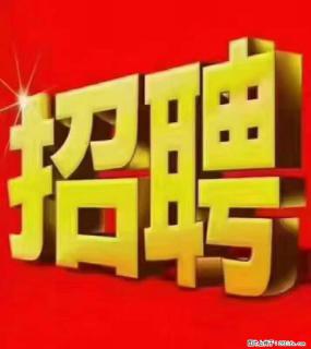 【东莞市威萨电子科技有限公司】公司直招:外贸业务、仓管员、跟单文员、普工 - 惠州28生活网 huizhou.28life.com