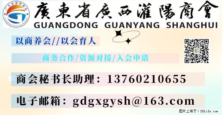 “粤灌文化 美好生活”油茶文化主题活动在广东深圳成功举办 - 惠州生活资讯 - 惠州28生活网 huizhou.28life.com