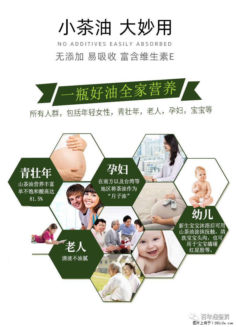 世界没有真相,只有认知,最好的食用油是中国的山茶油! - 惠州生活资讯 - 惠州28生活网 huizhou.28life.com