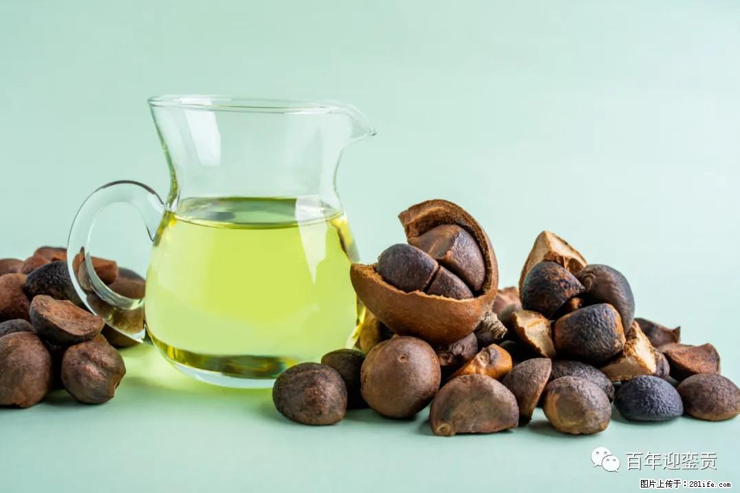 世界没有真相,只有认知,最好的食用油是中国的山茶油! - 惠州生活资讯 - 惠州28生活网 huizhou.28life.com