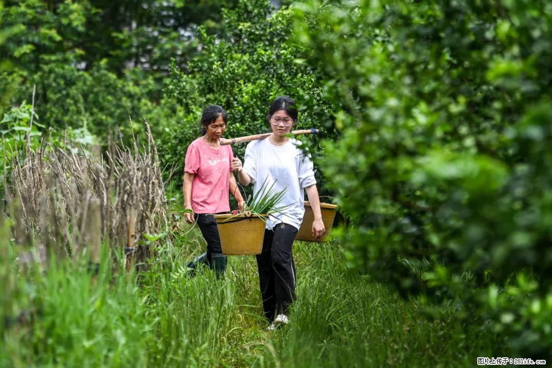 全网追的“扁担女孩”,找了一份暑假工,时薪12元 - 惠州生活资讯 - 惠州28生活网 huizhou.28life.com