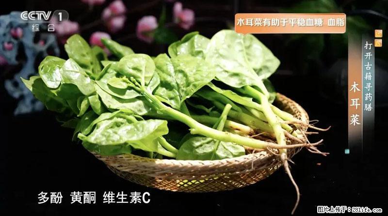 比牛奶补钙还厉害!凉血解毒、稳血糖...这菜冬天必吃,很多人却当草 - 惠州生活资讯 - 惠州28生活网 huizhou.28life.com