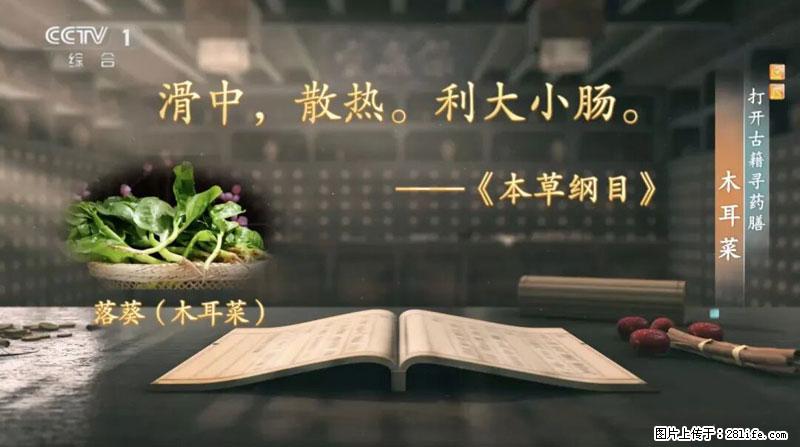 比牛奶补钙还厉害!凉血解毒、稳血糖...这菜冬天必吃,很多人却当草 - 惠州生活资讯 - 惠州28生活网 huizhou.28life.com