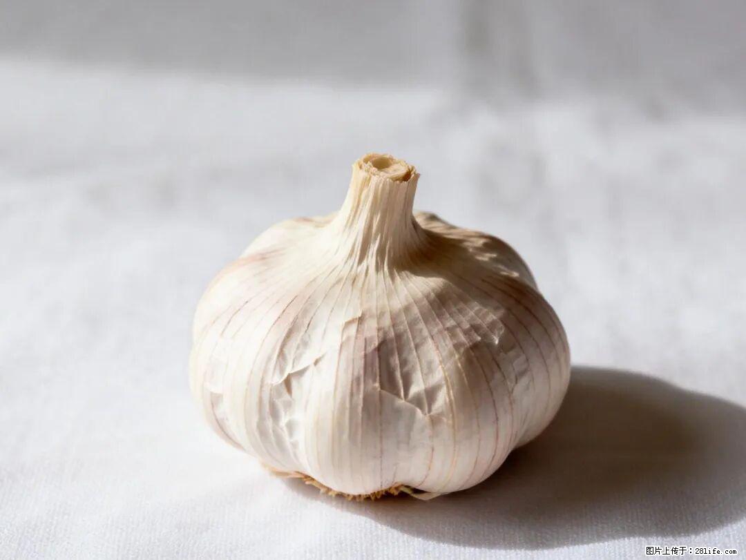 关于大蒜，除了“天然抗生素”，这4个谣言更该警惕! - 惠州生活资讯 - 惠州28生活网 huizhou.28life.com
