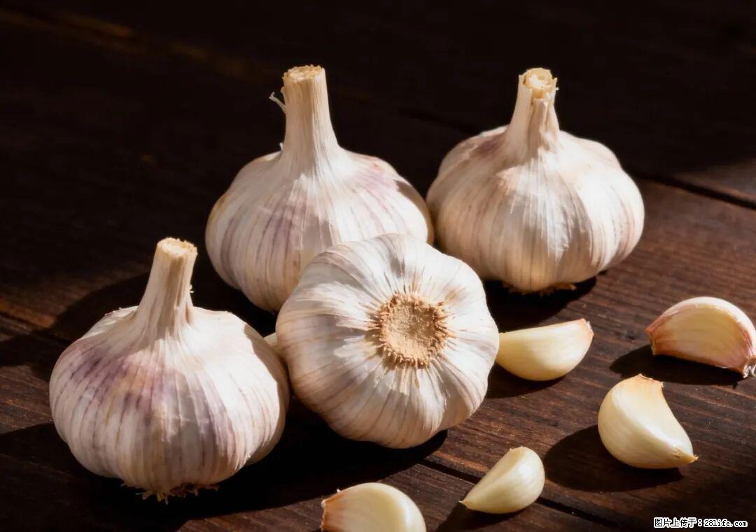 关于大蒜，除了“天然抗生素”，这4个谣言更该警惕! - 惠州生活资讯 - 惠州28生活网 huizhou.28life.com