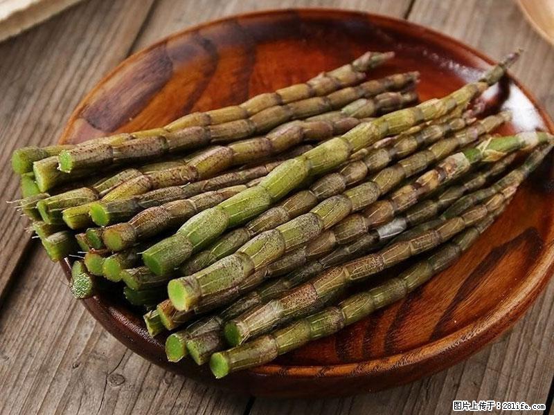 铁皮石斛的作用与功能主治 - 惠州生活资讯 - 惠州28生活网 huizhou.28life.com